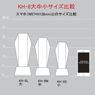 KH-8咆TCYr